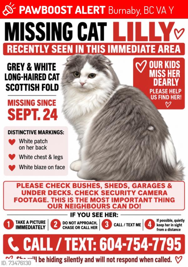 Lost Female Cat last seen Buffalo and Bainbridge, Burnaby, BC V5A 1Y8