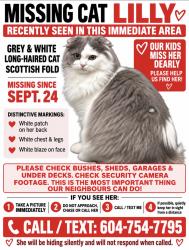Lost Female Cat last seen Buffalo and Bainbridge, Burnaby, BC V5A 1Y8