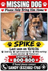 Lost Male Dog last seen CR 3433@CR 3134W, Cleveland/Plumgrove Tx, Liberty County, TX 77327