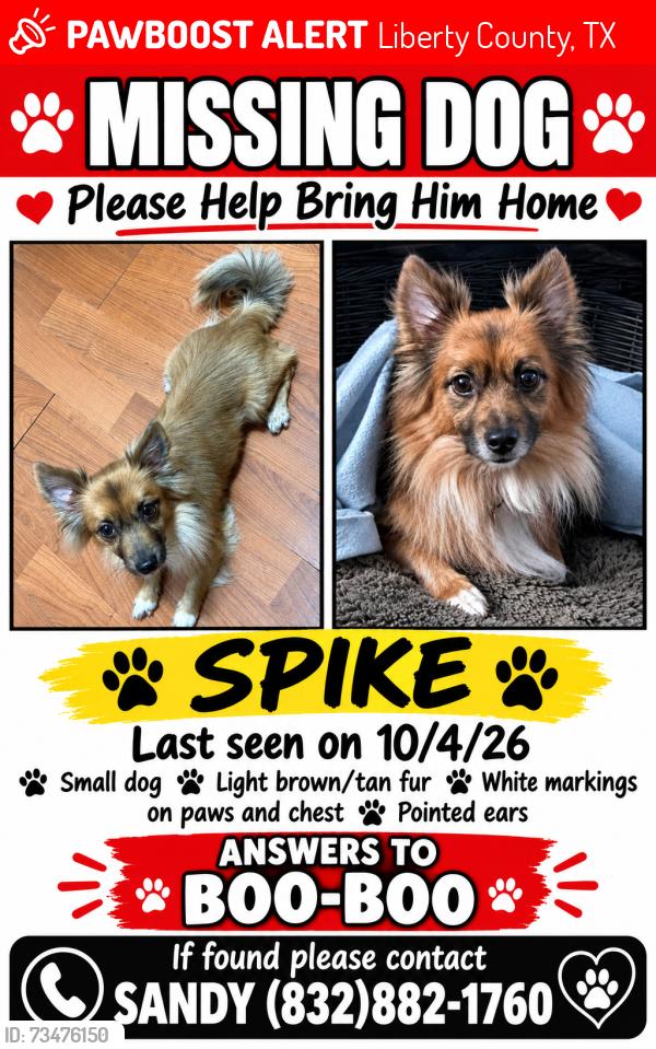 Lost Male Dog last seen CR 3433@CR 3134W, Cleveland/Plumgrove Tx, Liberty County, TX 77327