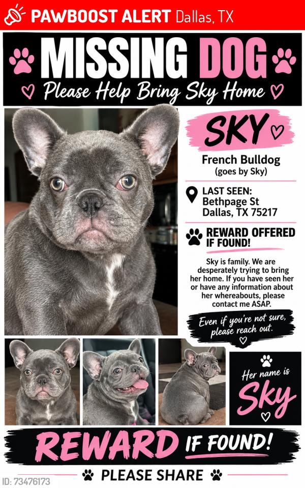 Lost Female Dog last seen Lake June, Elam rd, Dallas, TX 75217