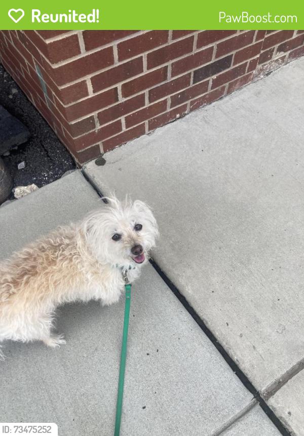 Reunited Female Dog last seen Seen near Wharton Square Park, Philadelphia, PA 19146