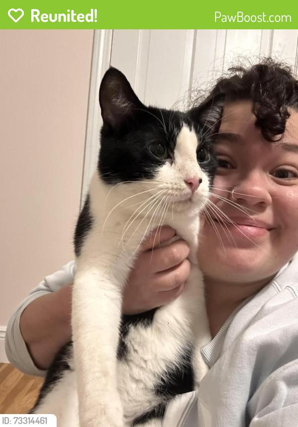 Reunited Male Cat last seen Judith Drive between Bragdon Ave & Kilian Drive, Danbury, CT 06811