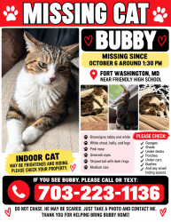 Reunited Male Cat last seen Near friendly high school, Fort Washington, MD 20744