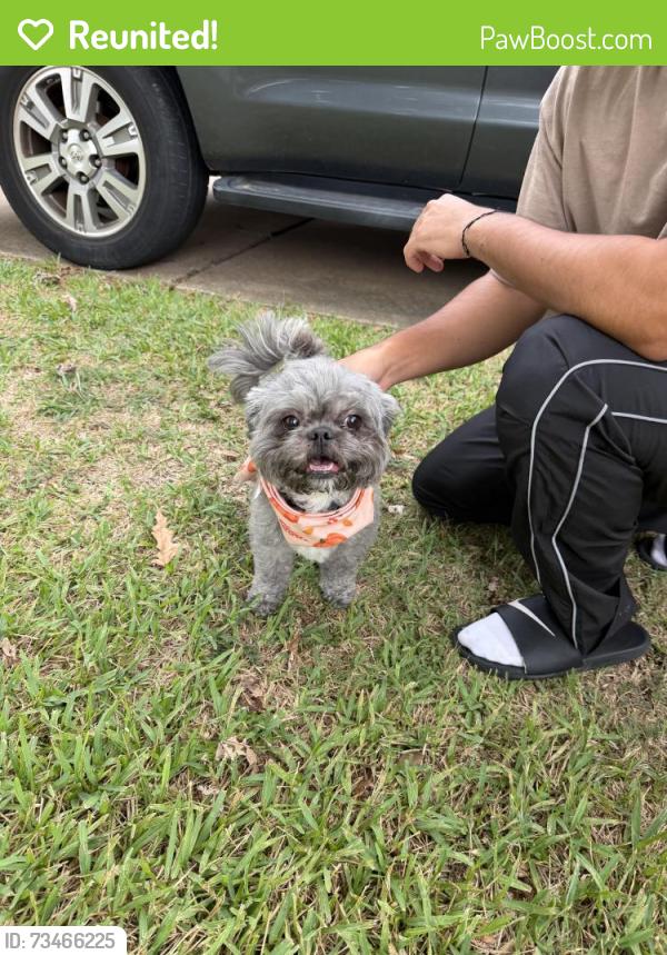 Reunited Male Dog last seen Mission Bend North, Mission Bend, TX 77083