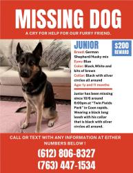 Reunited Male Dog last seen Nearby Auto zone in coon rapids, Coon Rapids, MN 55433
