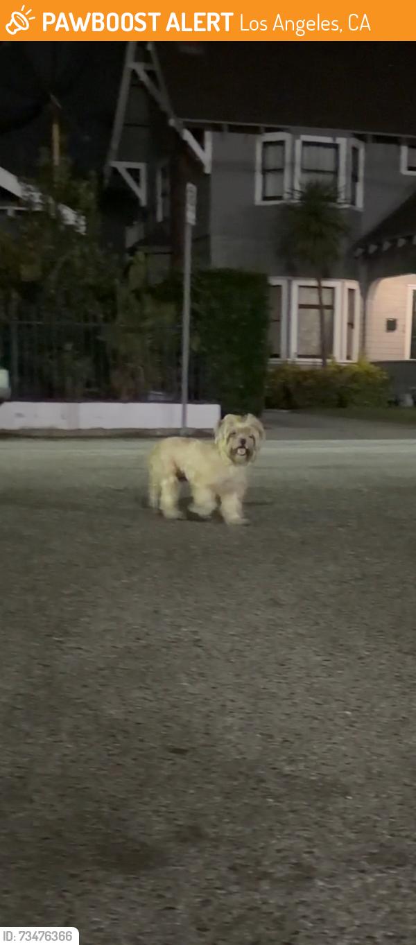 Found/Stray Female Dog last seen Ave 54 and marmion way, Los Angeles, CA 90042
