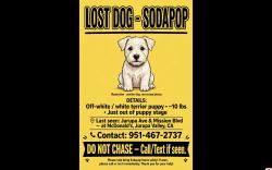 Lost Male Dog last seen Jurupa and Valley way, Jurupa Valley, CA 92509