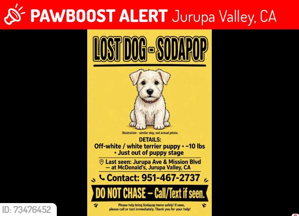 Lost Male Dog last seen Jurupa and Valley way, Jurupa Valley, CA 92509