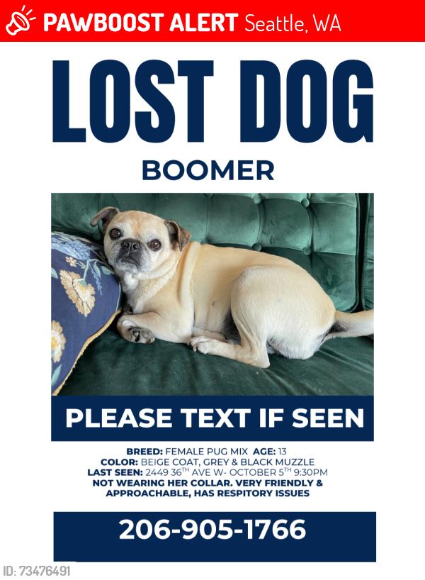 Lost Female Dog last seen Near 36th Ave W, Seattle, WA 98199, Seattle, WA 98199