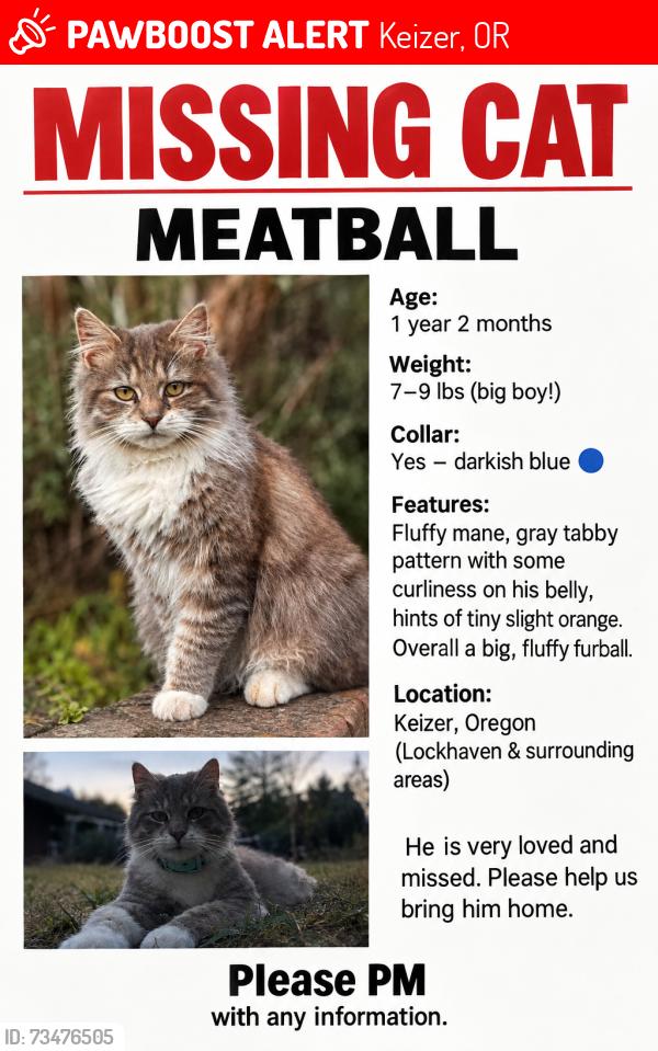 Lost Male Cat last seen Whitaker middle school, Keizer, OR 97303
