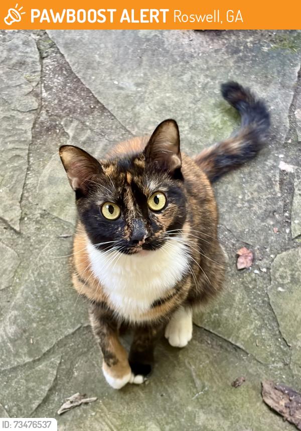 Found/Stray Unknown Cat last seen Lakeshore Dr, Roswell, Ga 30075, Roswell, GA 30075