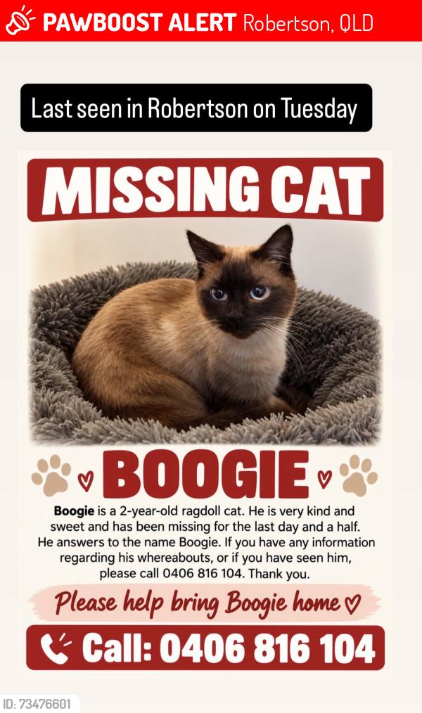 Lost Male Cat last seen Musgrave rd, Robertson, Robertson, QLD 