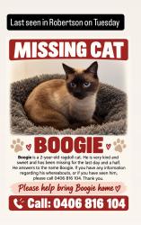 Lost Male Cat last seen Musgrave rd, Robertson, Robertson, QLD 