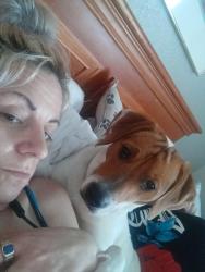 Lost Male Dog last seen Near Dana dr Chesapeake Virginia, Chesapeake, VA 23321