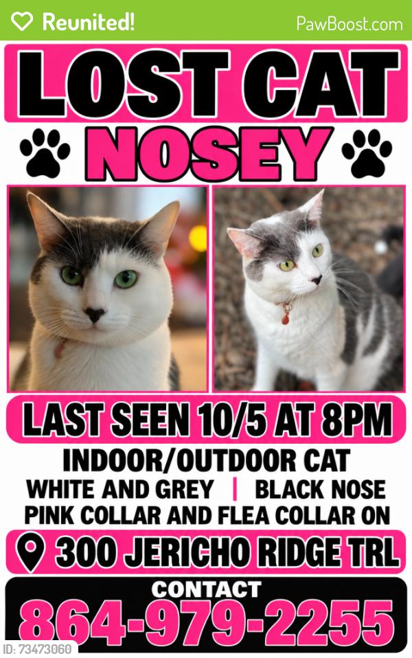 Reunited Female Cat last seen Near Jericho ridge trl, Easley, SC 29640