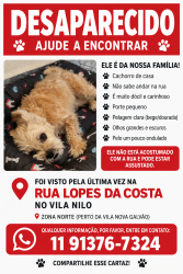 Lost Male Dog last seen perto da lopes da costa no vila nilo, São Paulo, SP 02279-060