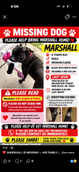 Lost Male Dog last seen Near block by Arlington Street, Pine Bluff, AR 71603