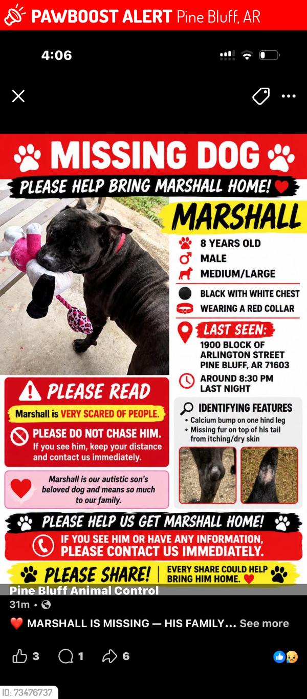 Lost Male Dog last seen Near block by Arlington Street, Pine Bluff, AR 71603