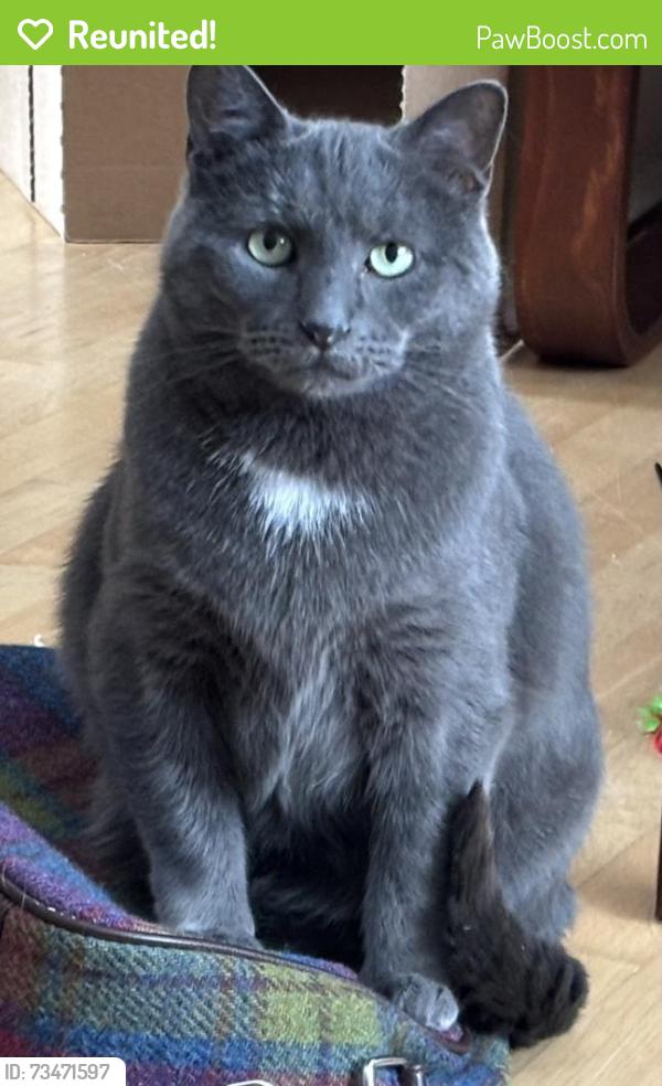 Reunited Male Cat last seen Bulyea Rd NW and Breen Rd NW, Calgary, AB T2L 1S2