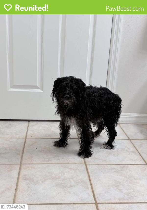 Reunited Male Dog last seen Near and 72nd, Ocala, FL 34480