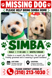 Lost Male Dog last seen Victoria park, Carson, CA 90746