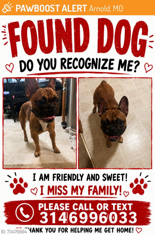 Found/Stray Unknown Dog last seen Outer road near collision repair shop, Arnold, MO 63010