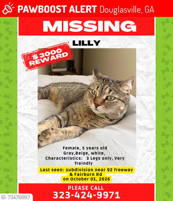 Lost Female Cat last seen Near freeway & Fairburn, Douglasville, GA 30135