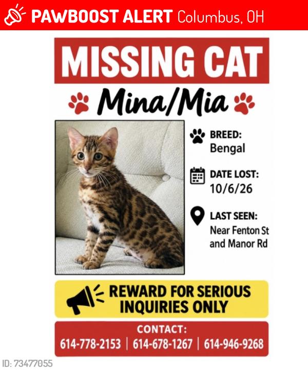 Lost Female Cat last seen Fenton st & Manor rd, Columbus, OH 43224