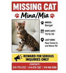 Lost Female Cat last seen Fenton st & Manor rd, Columbus, OH 43224