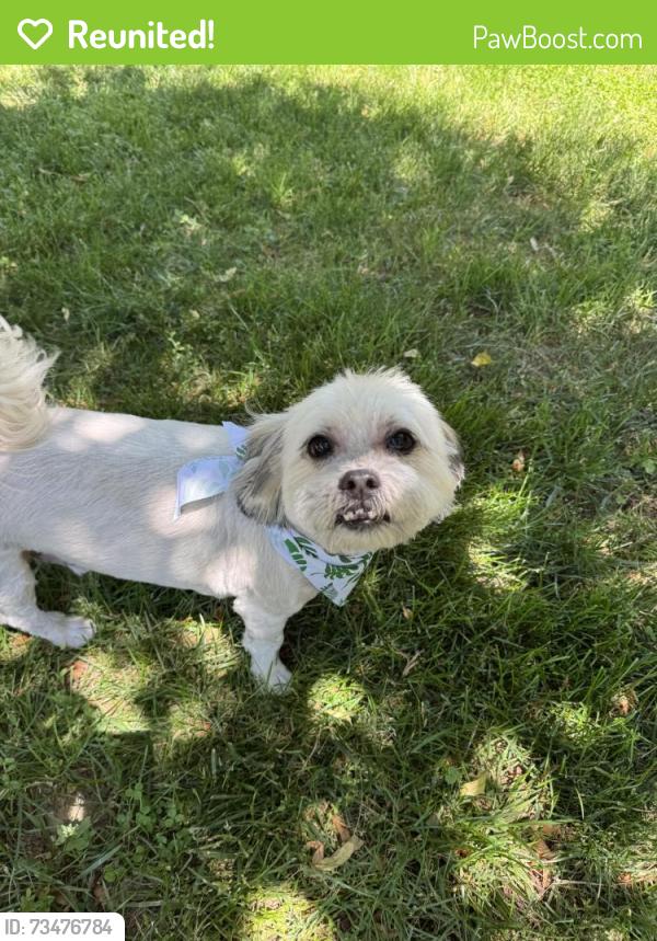 Reunited Male Dog last seen Near martha curtis drive, Alexandria, VA 22302