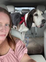 Found/Stray Male Dog last seen I 95s, Rowland, NC 28383