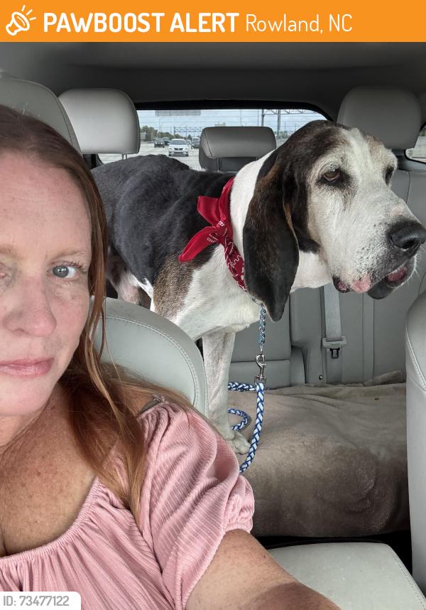 Found/Stray Male Dog last seen I 95s, Rowland, NC 28383
