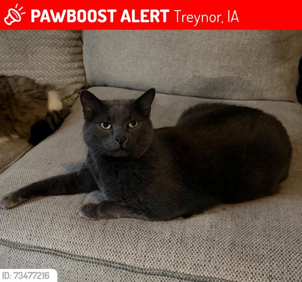 Lost Male Cat last seen Park Street - by the high school, Treynor, IA 51575