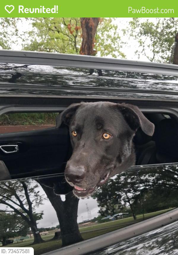 Reunited Male Dog last seen Park 57/County Rd 60, Somerville, TX, Somerville, TX 77879
