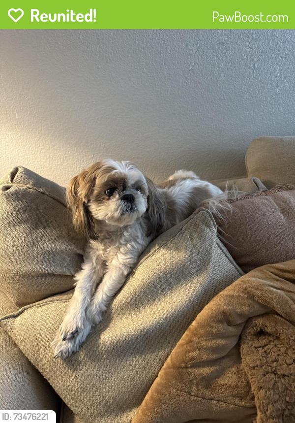 Reunited Male Dog last seen Beadlilly way, Joppa, MD 21085, Joppatowne, MD 21085