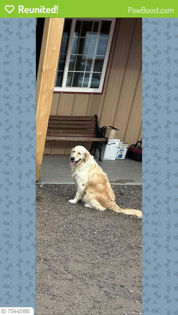 Reunited Female Dog last seen 80th Ave/ Converse Rd, Adams County, CO 80102