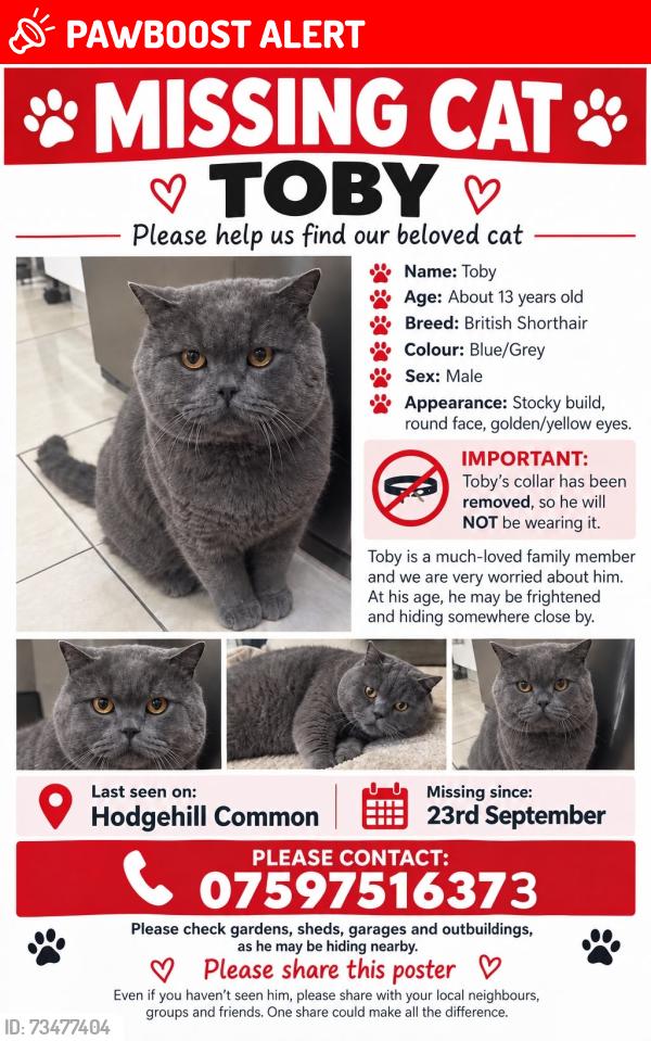 Lost Male Cat last seen Hodge Hill Common, West Midlands, England B36 8AG