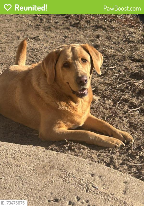 Reunited Male Dog last seen Dehesa, El Cajon, CA 92020