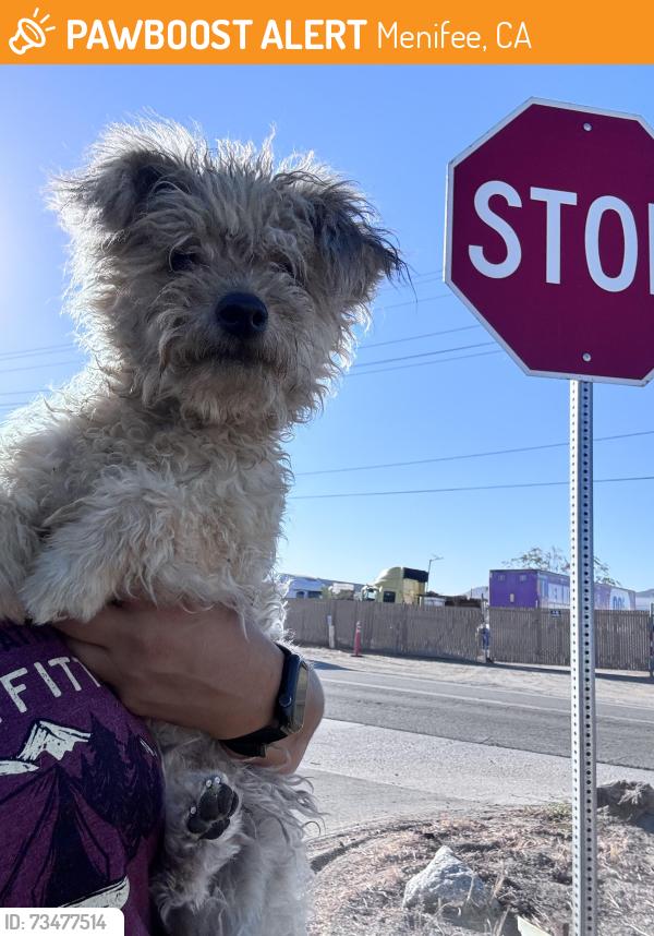 Found/Stray Female Dog last seen Ethanac, Menifee, CA 92585