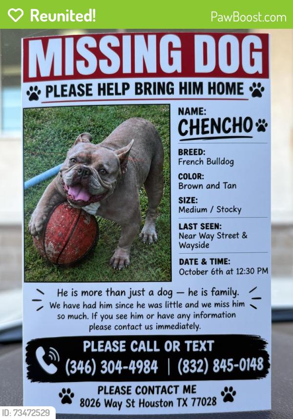 Reunited Male Dog last seen Way st Houston Tx 77028, Houston, TX 77028