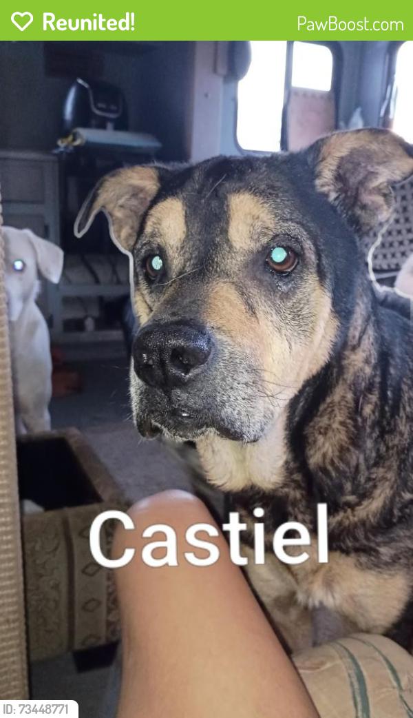 Reunited Male Dog last seen Silverlake Road, Fountain, Fl 32438, Fountain, FL 32438
