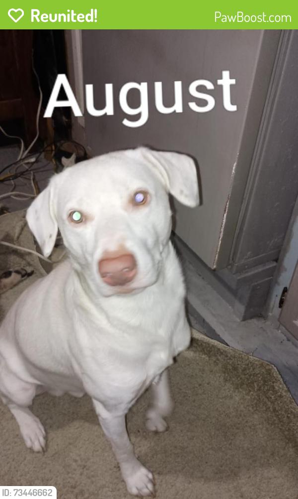 Reunited Male Dog last seen Silverlake Road, Fountain,Fl 32438, Fountain, FL 32438