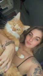 Lost Male Cat last seen S 47th st off causeway blvd, Tampa, FL 33619