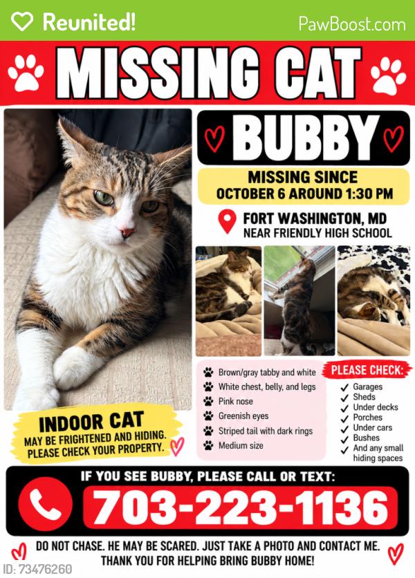 Reunited Male Cat last seen Near friendly high school, Fort Washington, MD 20744