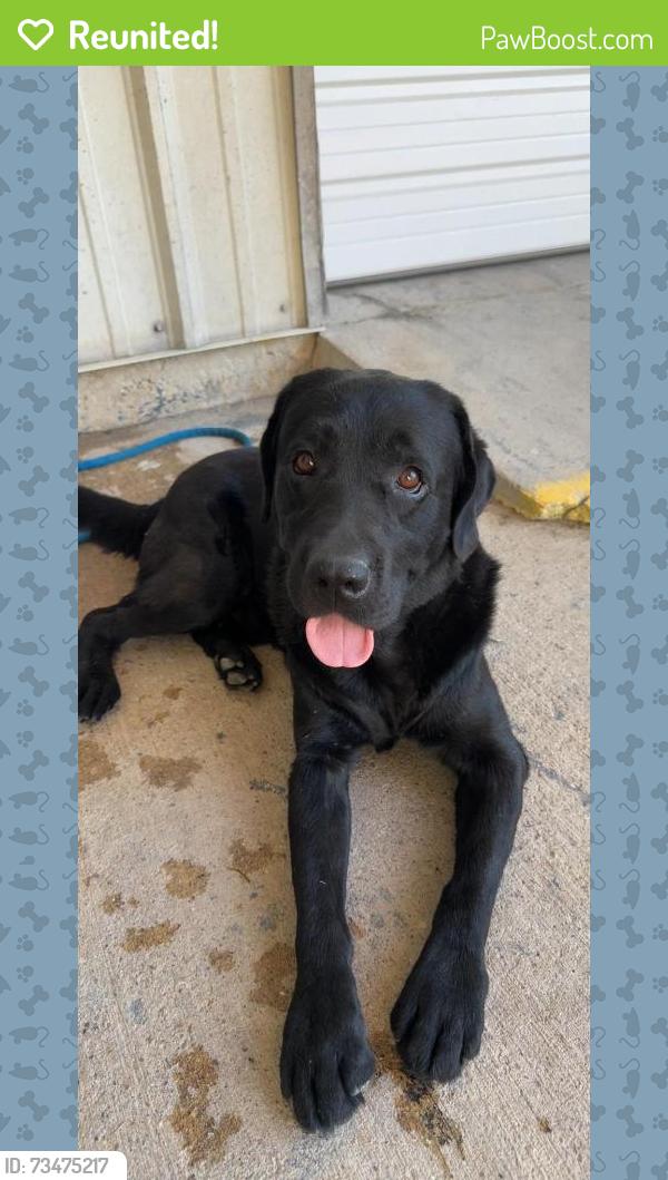 Reunited Male Dog last seen Near Hwy 21 Bryan Tx, Bryan, TX 77803