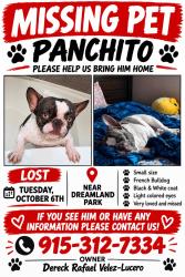 Lost Male Dog last seen Gr campuzano and vincent kalel, El Paso, TX 79938