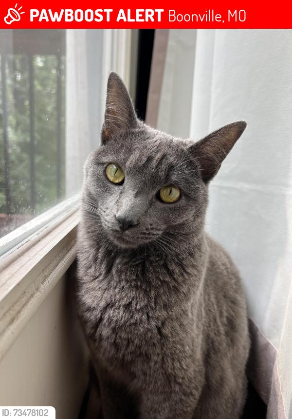 Lost Female Cat last seen Rolling Hills Park, Boonville, MO 65233