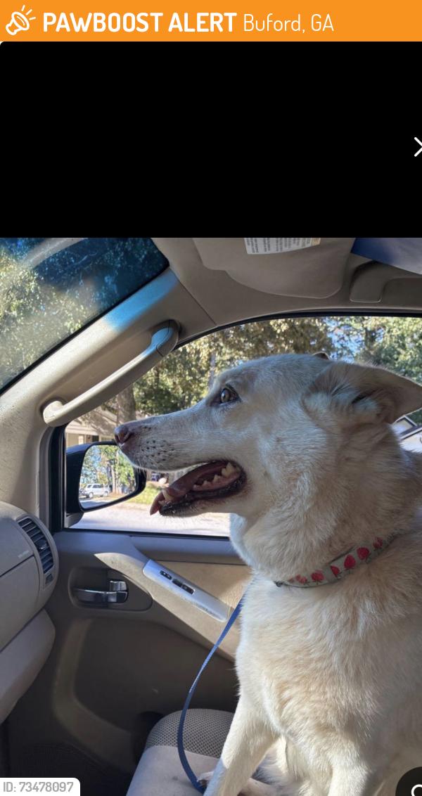 Found/Stray Female Dog last seen Bogan road, pebble brook gas station, Buford, GA 30515