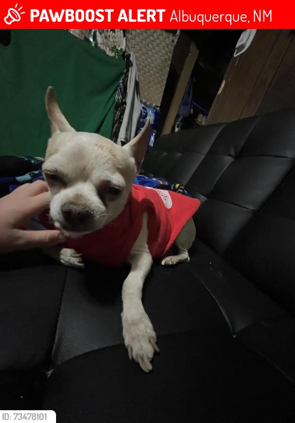 Lost Male Dog last seen Central.and atrisco, Albuquerque, NM 87105